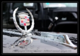 Cadillac logo2